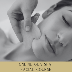 283 Online Gua Sha Facial Course