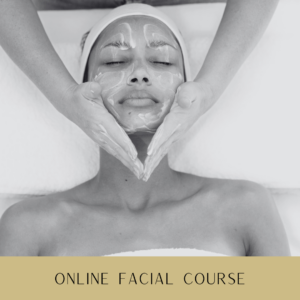 287 Online Facial Course