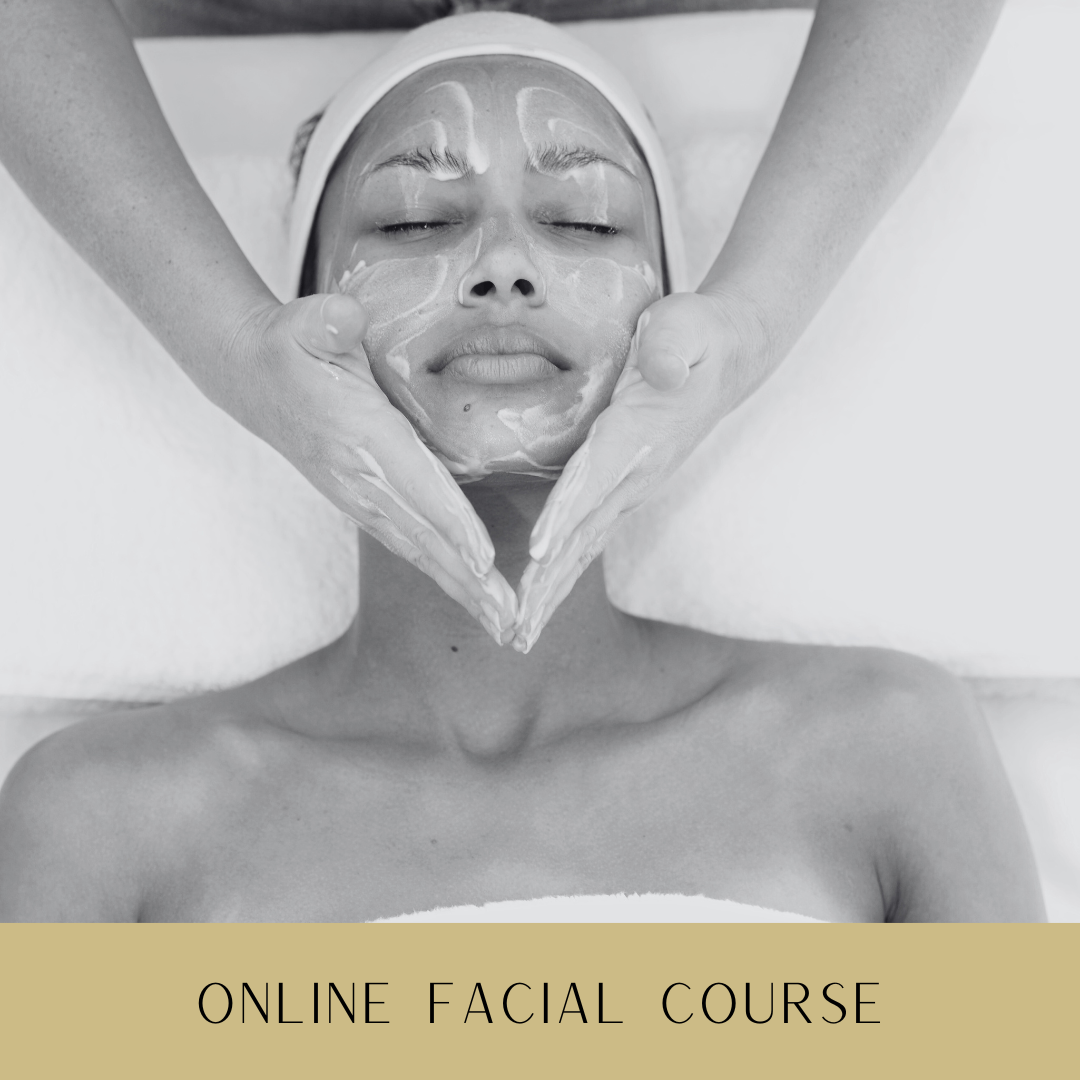 287 Online Facial Course