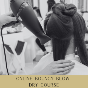 289 Online Bouncy Blow Dry Course