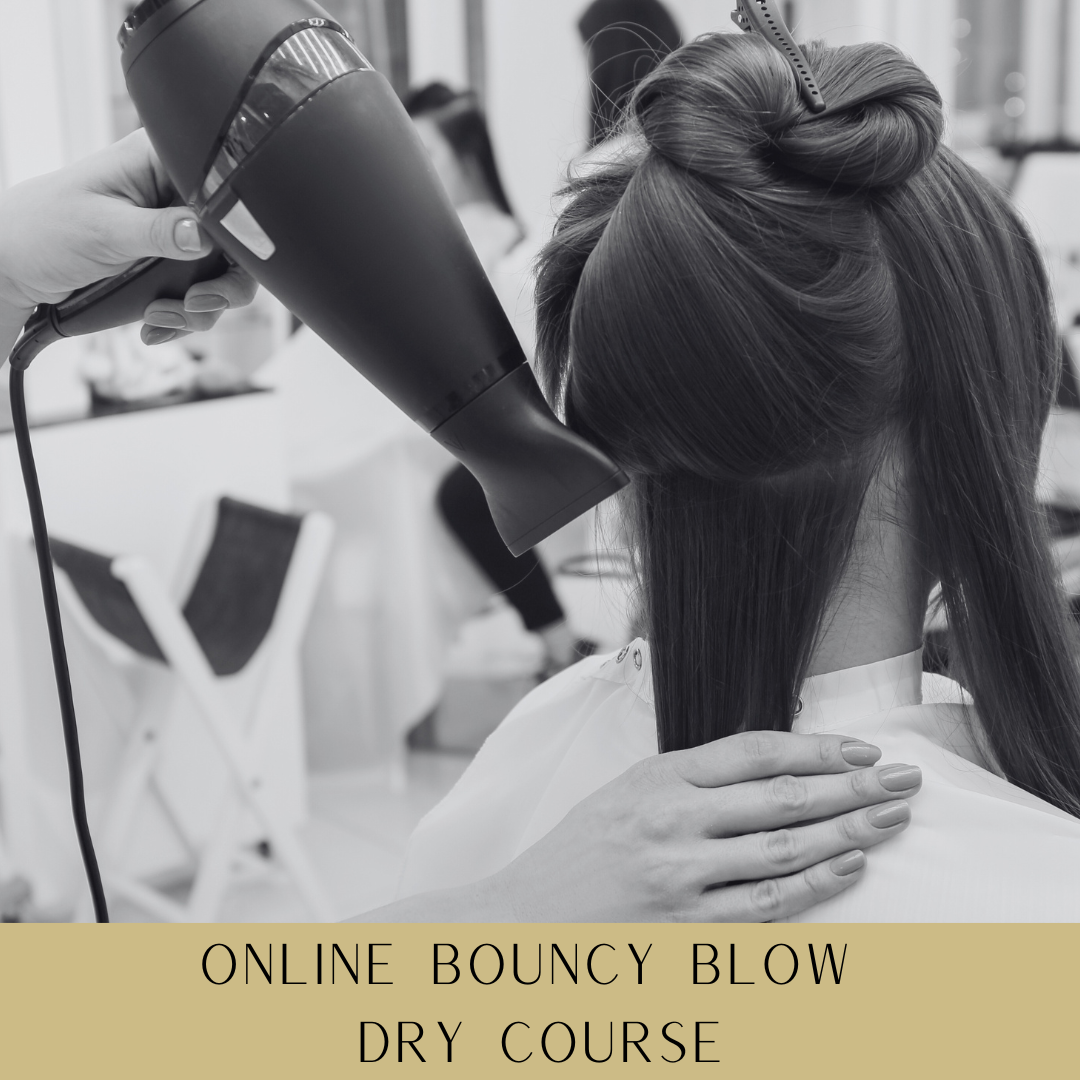 289 Online Bouncy Blow Dry Course