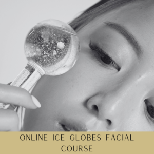 291 Online Ice Globes Facial Course