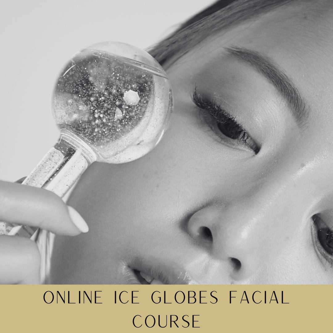 291 Online Ice Globes Facial Course