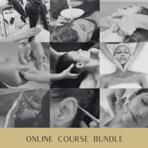 ADD ON COURSES TRAFFIC AD, CA Online Course Bundle