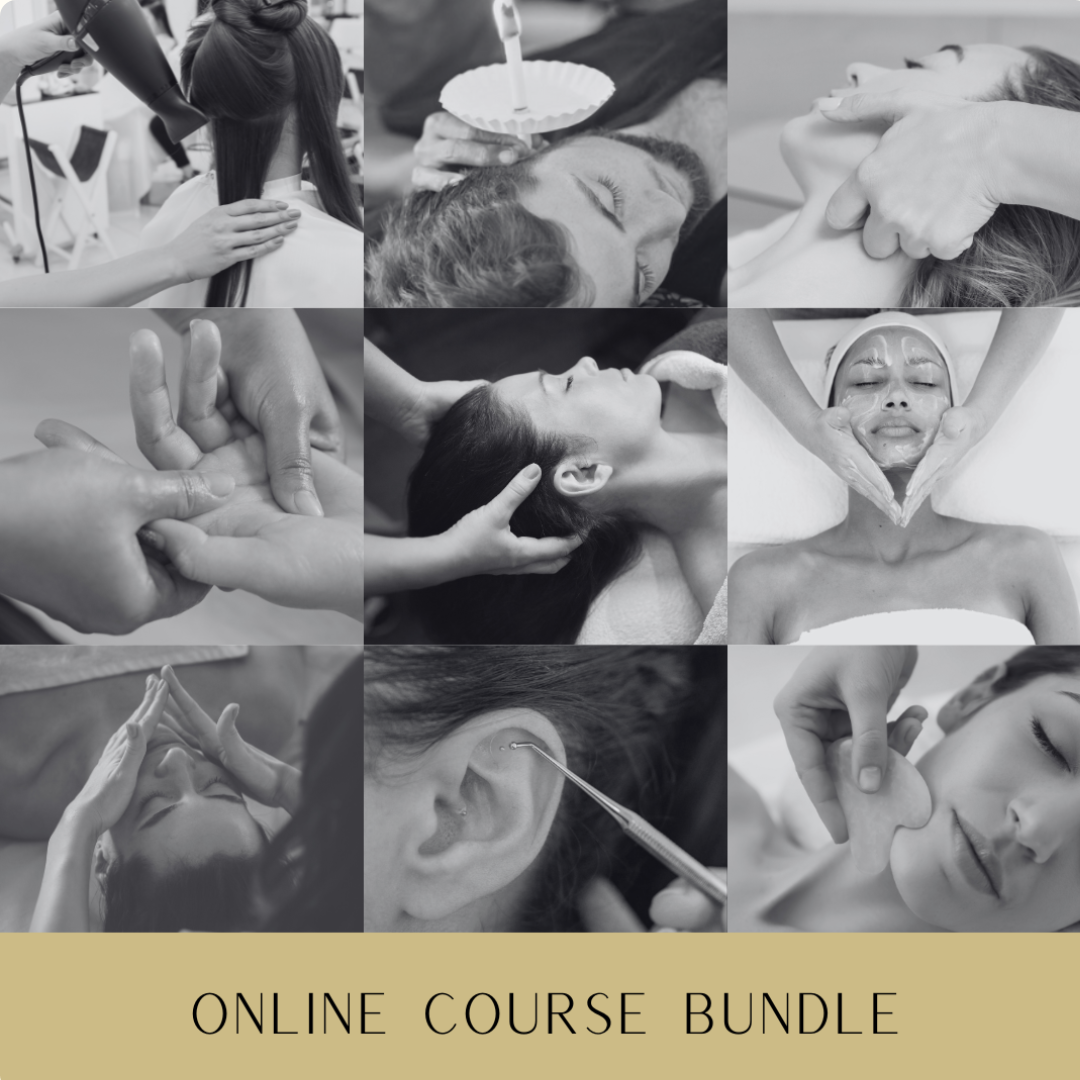 ADD ON COURSES TRAFFIC AD, CA Online Course Bundle