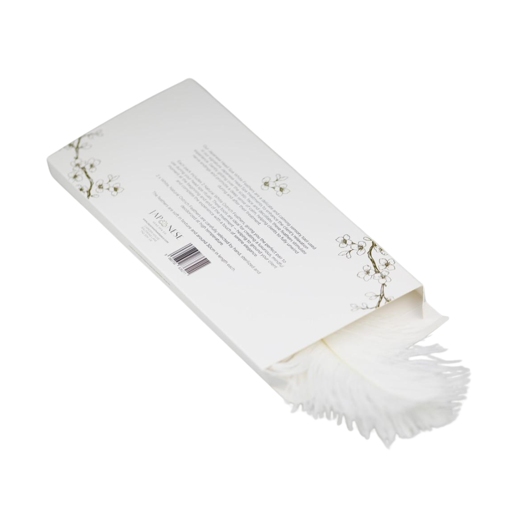 ostrich feathers 2 Real Natural White Ostrich Feathers (Pack of 2)