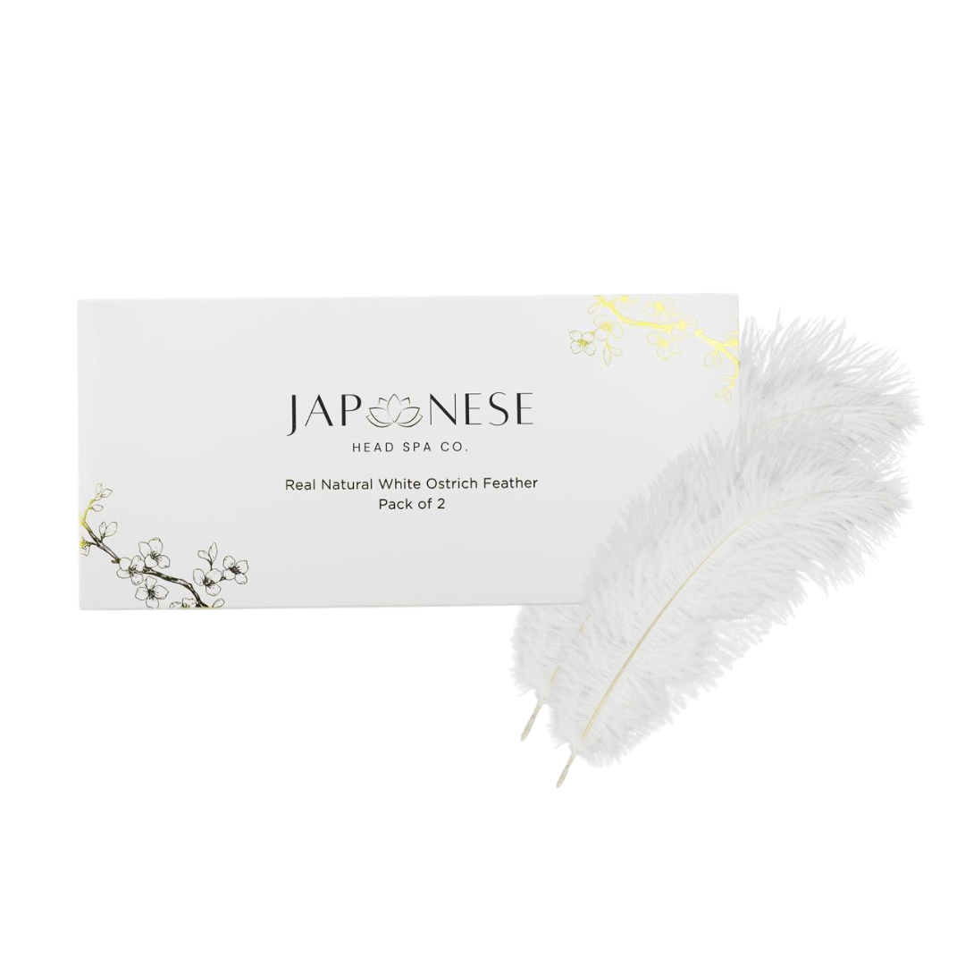 ostrich feathers Real Natural White Ostrich Feathers (Pack of 2)