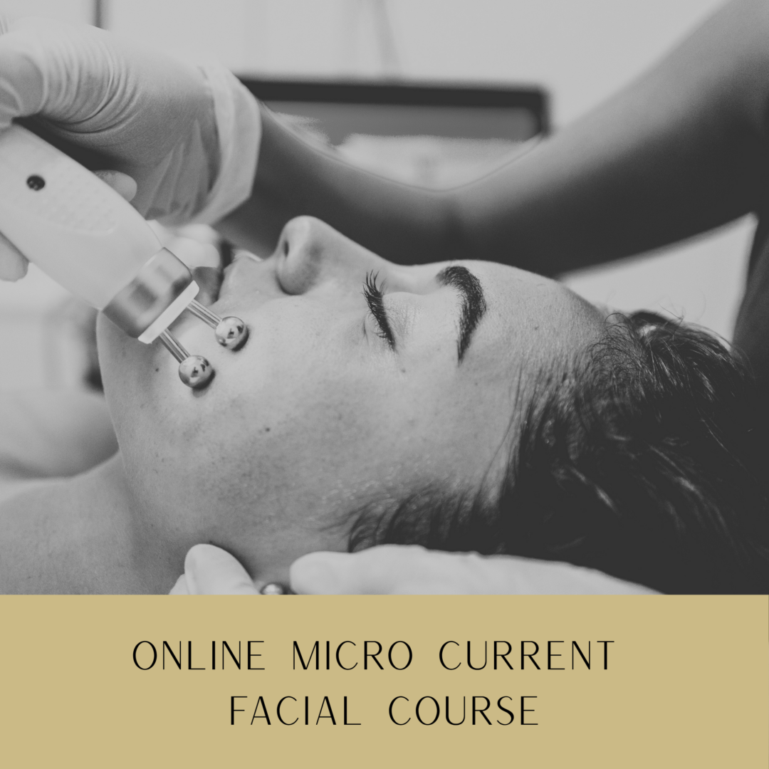 MICRO-CURRENT-FACIAL.png Online Microcurrent Facial Course